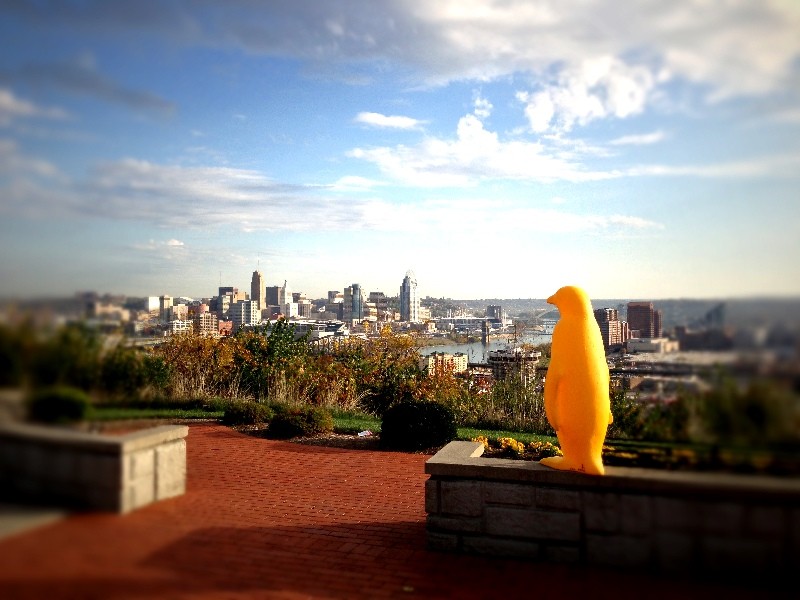 ecofeminism book by Maria Mies and Vandana Shiva