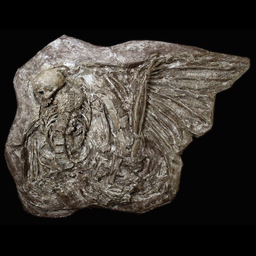 David Dotson Lecture 2022-11-03