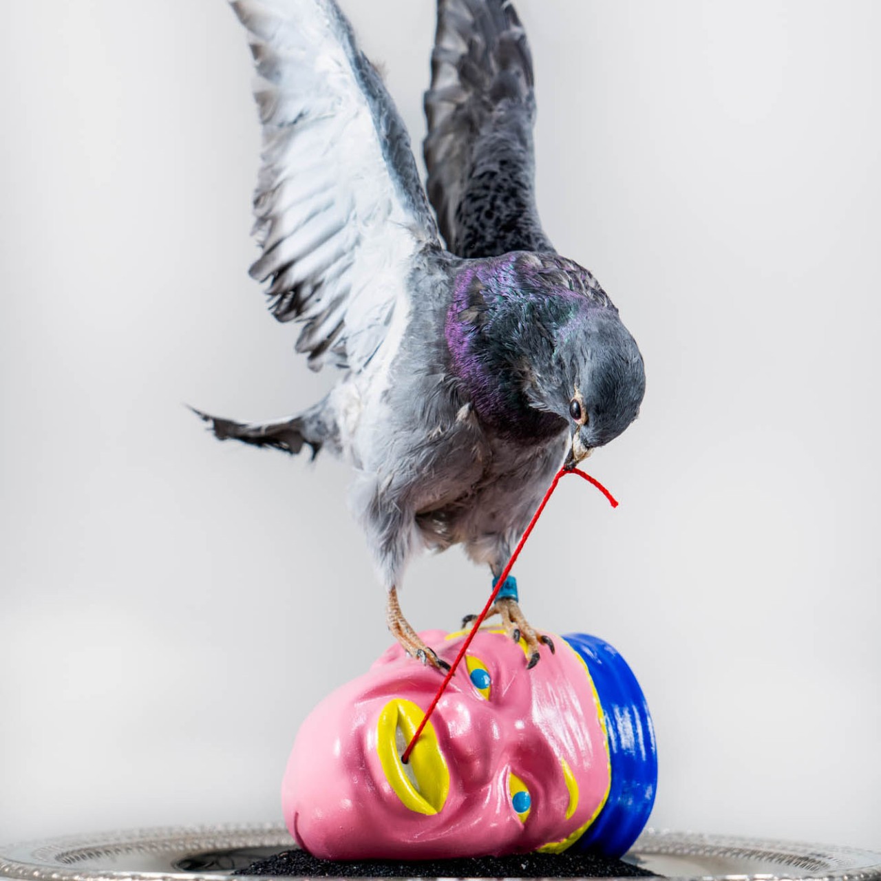 Aaron Coleman artwork