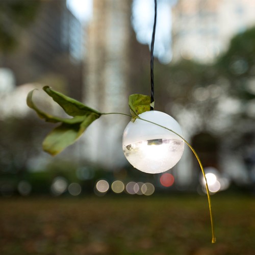photography of leaf hanging from spherical light