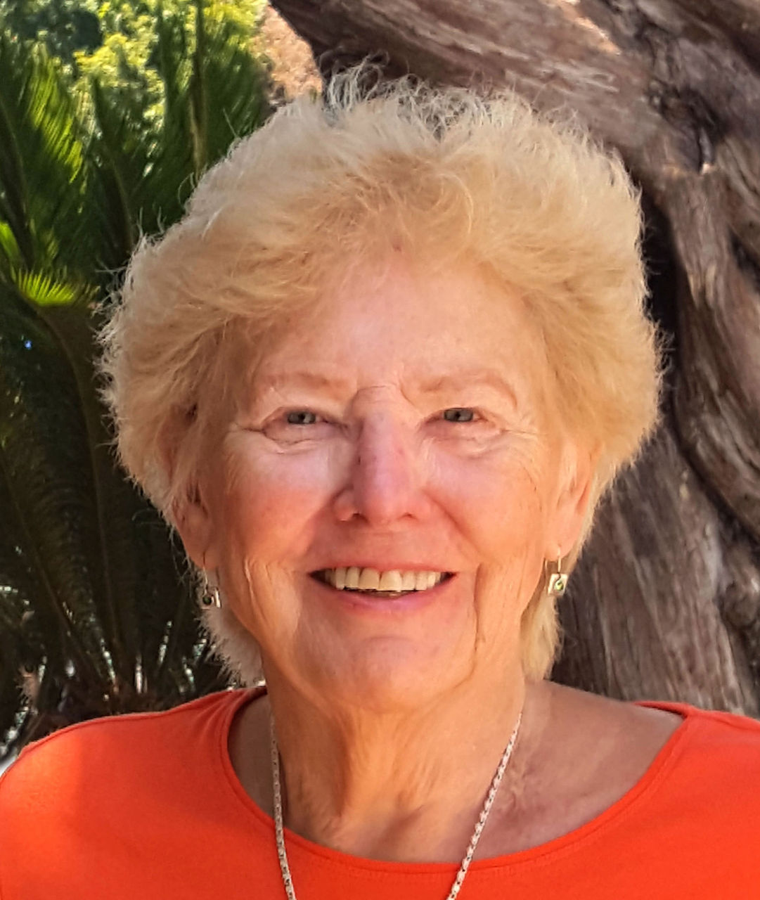 Ann Hamilton