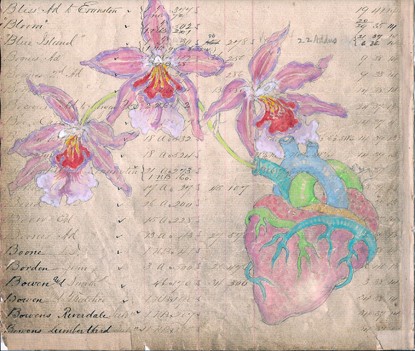 PHYTOTHERAPIES: Plants that heal exhibit preview