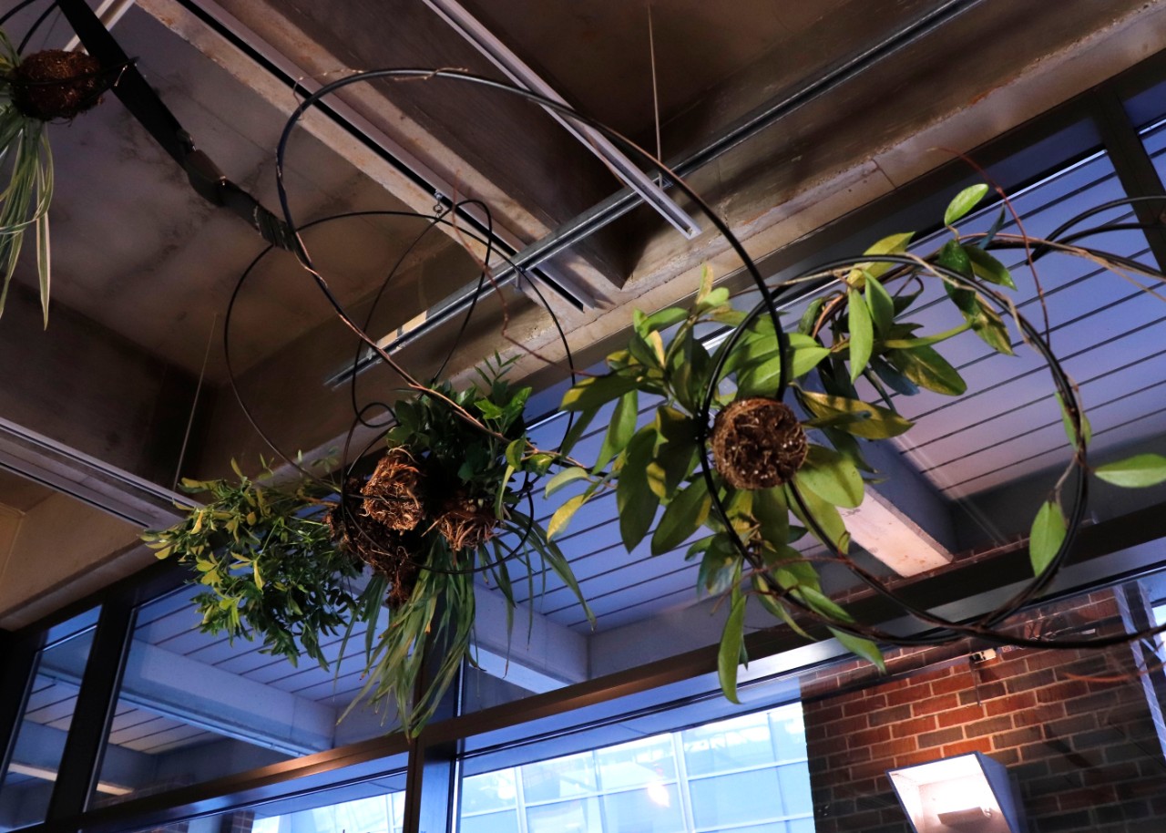 Balance by Michaela Haawe Owen, Steel Rod with black finish, seatbelts, plants 