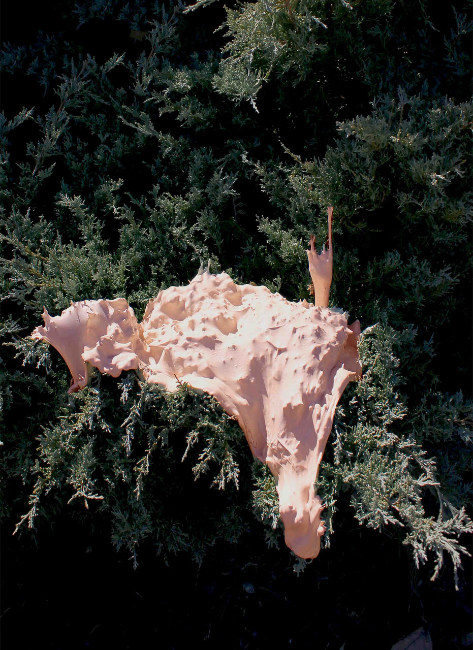 Color photograph of a large, pale pink slime sculptural form draped across an evergreen shrub, with several pointed protrusions extending upward. Titled "Growth" by Lauren Darpel, 2021; photograph in UC DAAP Galleries' Reed Gallery Exhibit Long Exposure