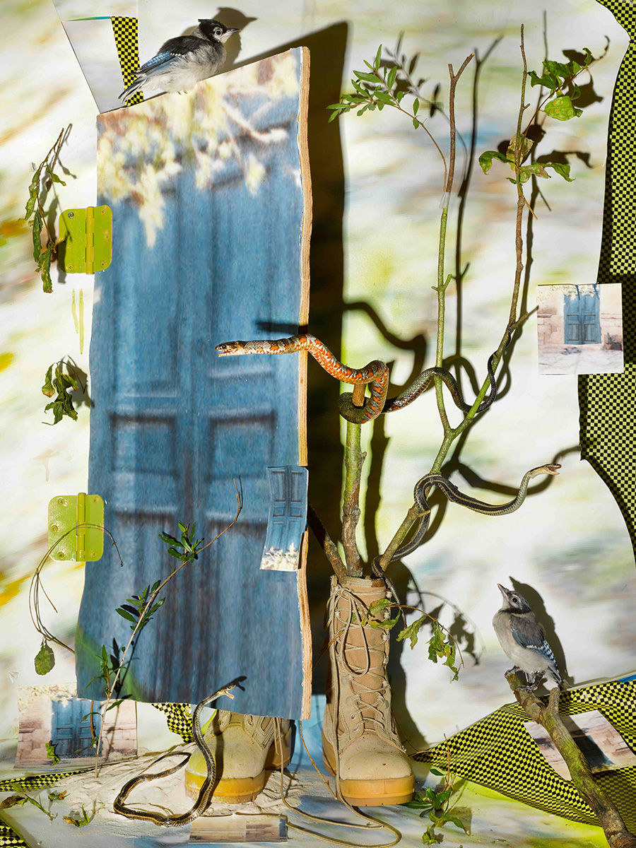 Color photograph of created scene with blue door, boots, snake and foliage titled "Behind the Door" by Sheida Soleimani, 2022; photograph in UC DAAP Galleries' Reed Gallery Exhibit Long Exposure