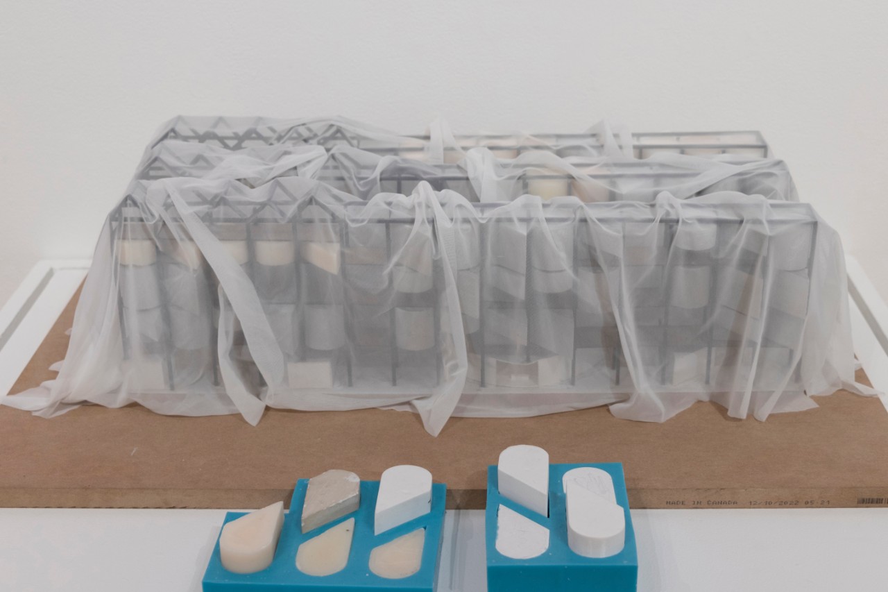 prints on paper, plastic and silicone models, fabric