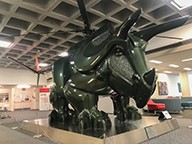 Triceracopter: The Hope for the Obsolescence of War by Patricia Renick